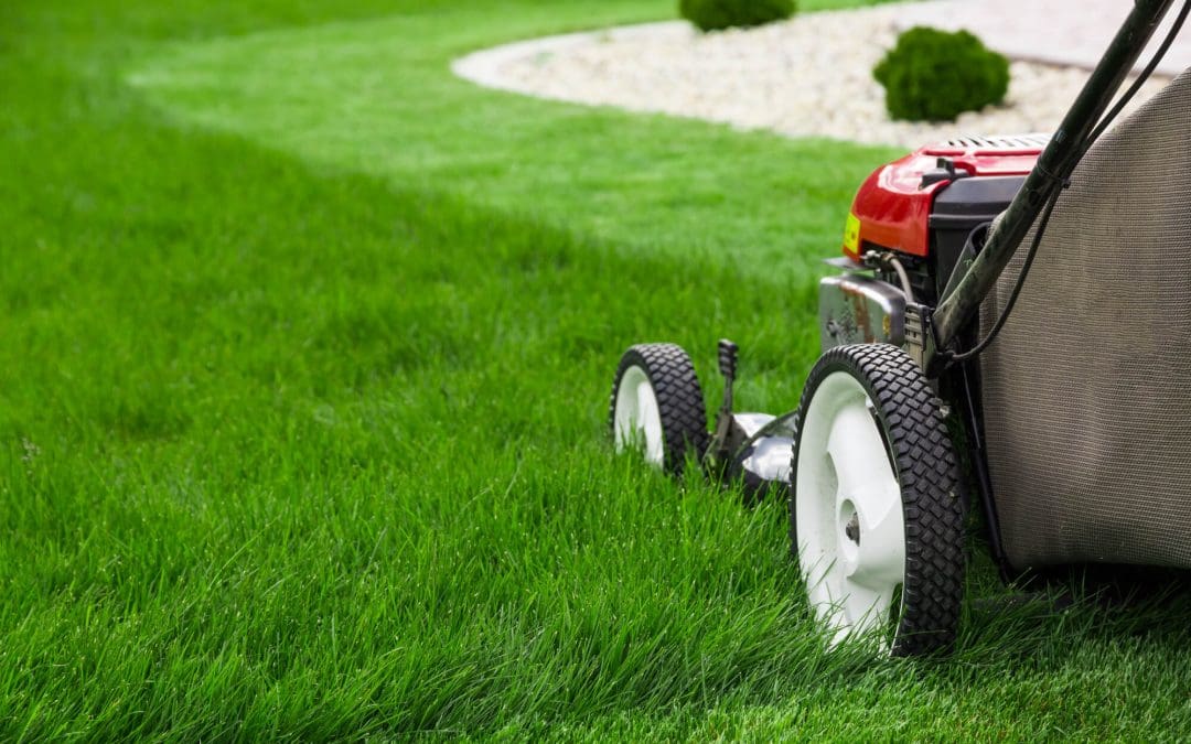 6 Tips on How to Mow Your Grass Correctly