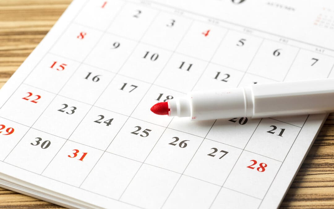 Stay Ahead of the House: Your Monthly Home Maintenance Checklist